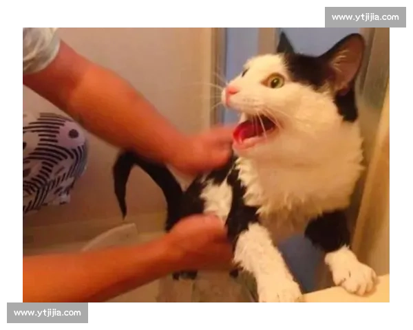 躲过重击，我便成你克星