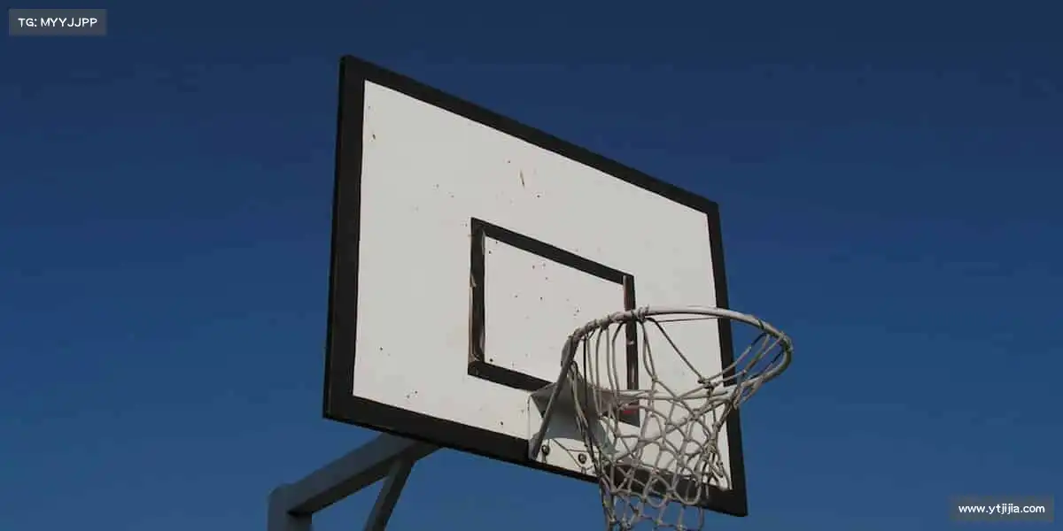 为什么选择我们